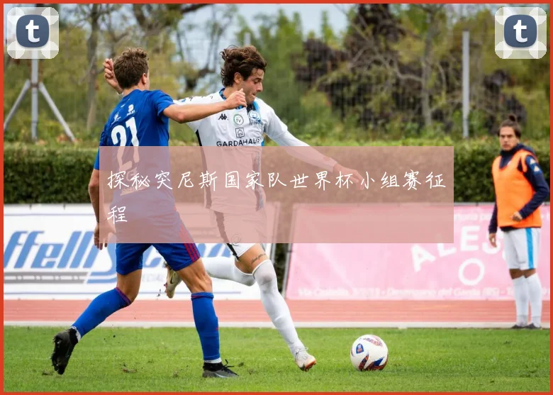 探秘突尼斯国家队世界杯小组赛征程