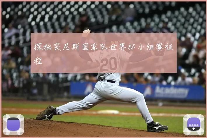 探秘突尼斯国家队世界杯小组赛征程