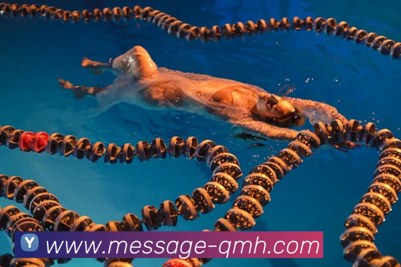 数据防护可视化